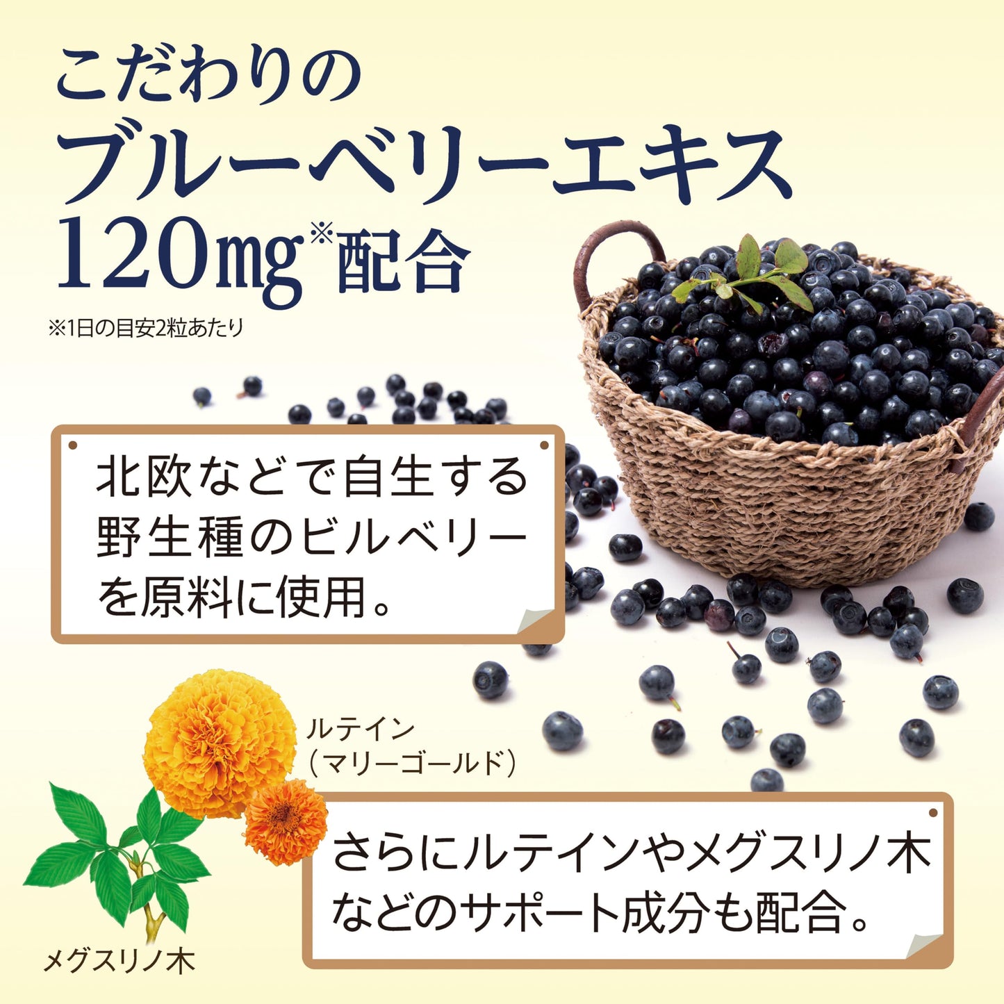 Kobayashi Pharmaceutical Nutritional Supplement Blueberry Lutein Megulino Tree Supplement (Recommended Ingredients for Readers, Computers, and TV Viewers in One! Support Clear Everyday Life