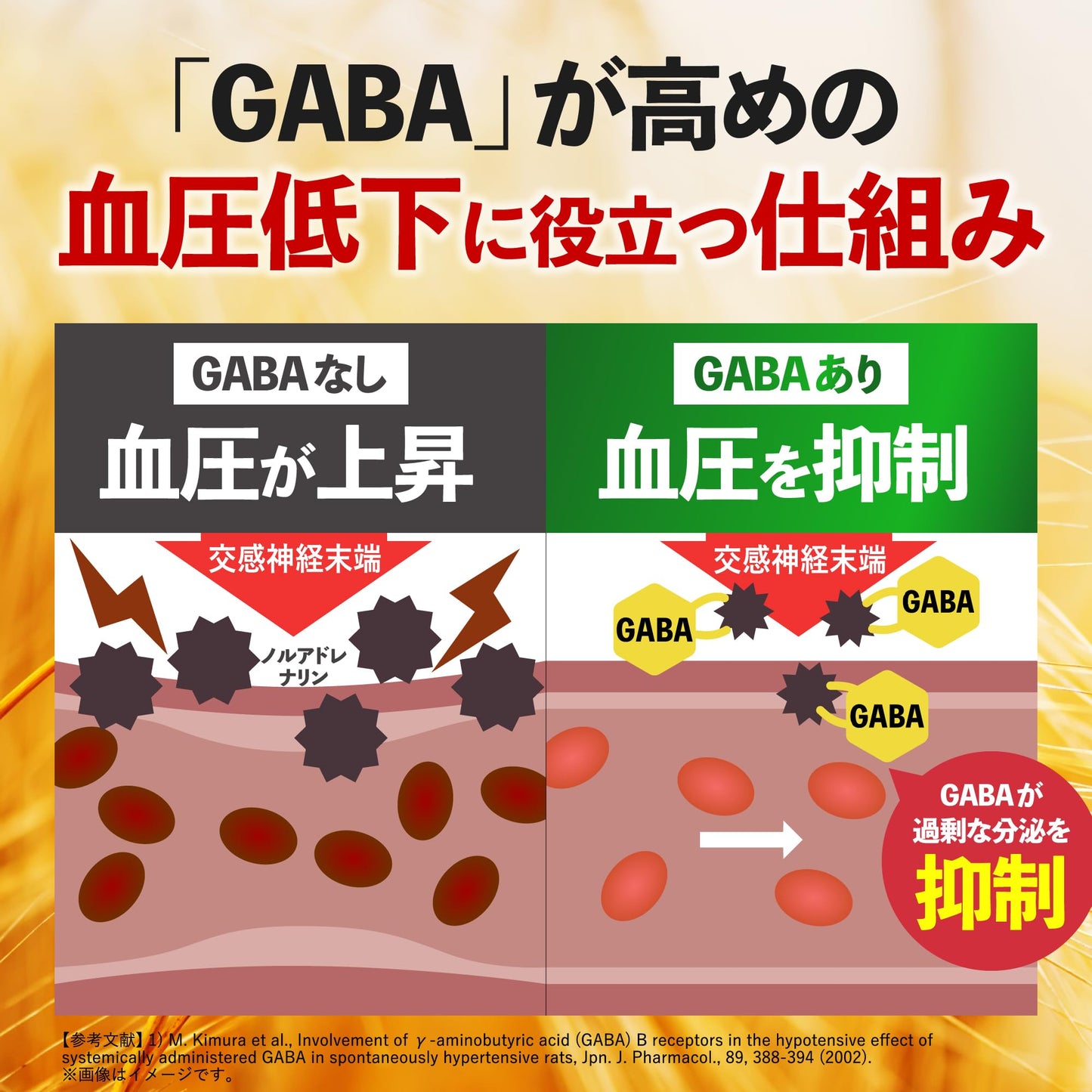 GABA Blood Pressure Reducing Supplement, For 30 Days, 60 Tablets, Blood Pressure Countermeasures, Omega 3, Linseed Oil, Gaba, Food with Functional Laboratory
