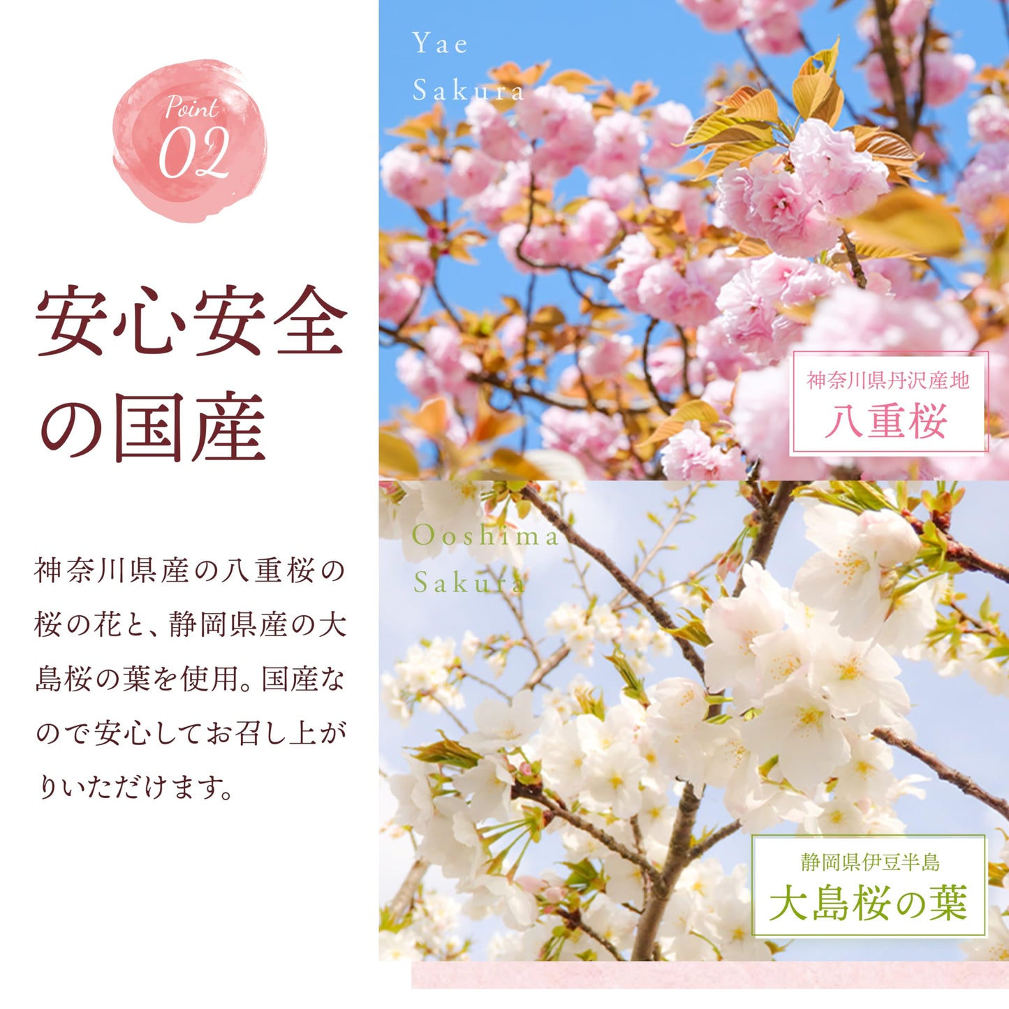 桜パウダー 40g 国産 製菓用 料理用 エディブルフラワー 食用桜 桜の花 桜の葉 さくら sakura 国産さくらパウダー (40ｇ)