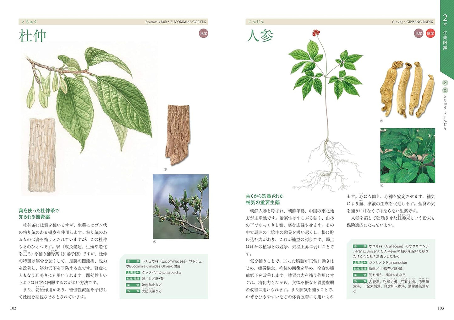 生薬と漢方薬の事典