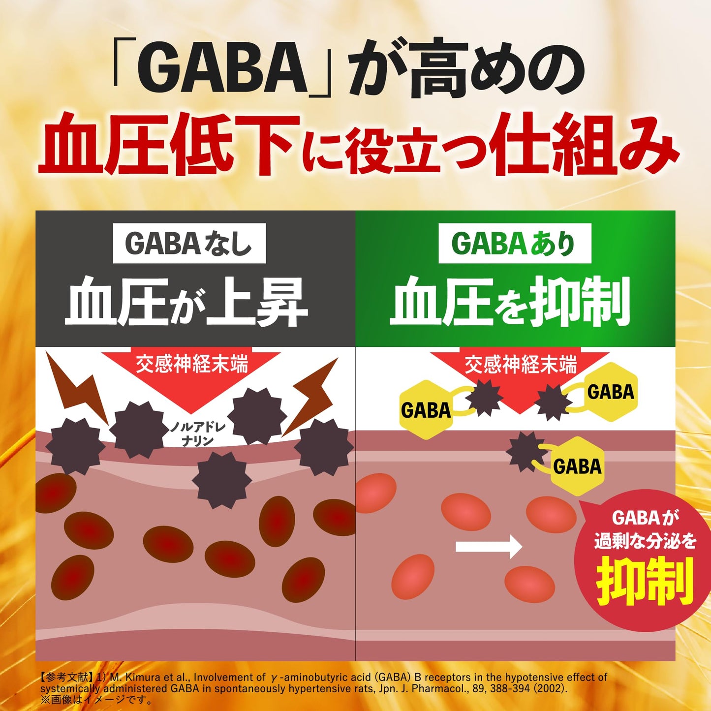 GABA Blood Pressure Reducing Supplement, For 30 Days, 60 Tablets, Blood Pressure Countermeasures, Omega 3, Linseed Oil, Gaba, Food with Functional Laboratory