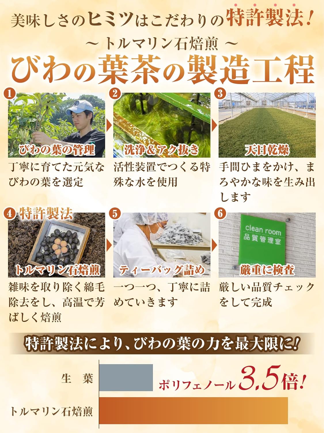 Biwano Leaf Tea, 100% Biwano Leaf Tea, Produced in Kagoshima Prefecture, Healthy, Caffeine-Free, Zero Calories, No Additives, Biwa Tea, Biwa Tea, Ocha (Japanese Language Version)