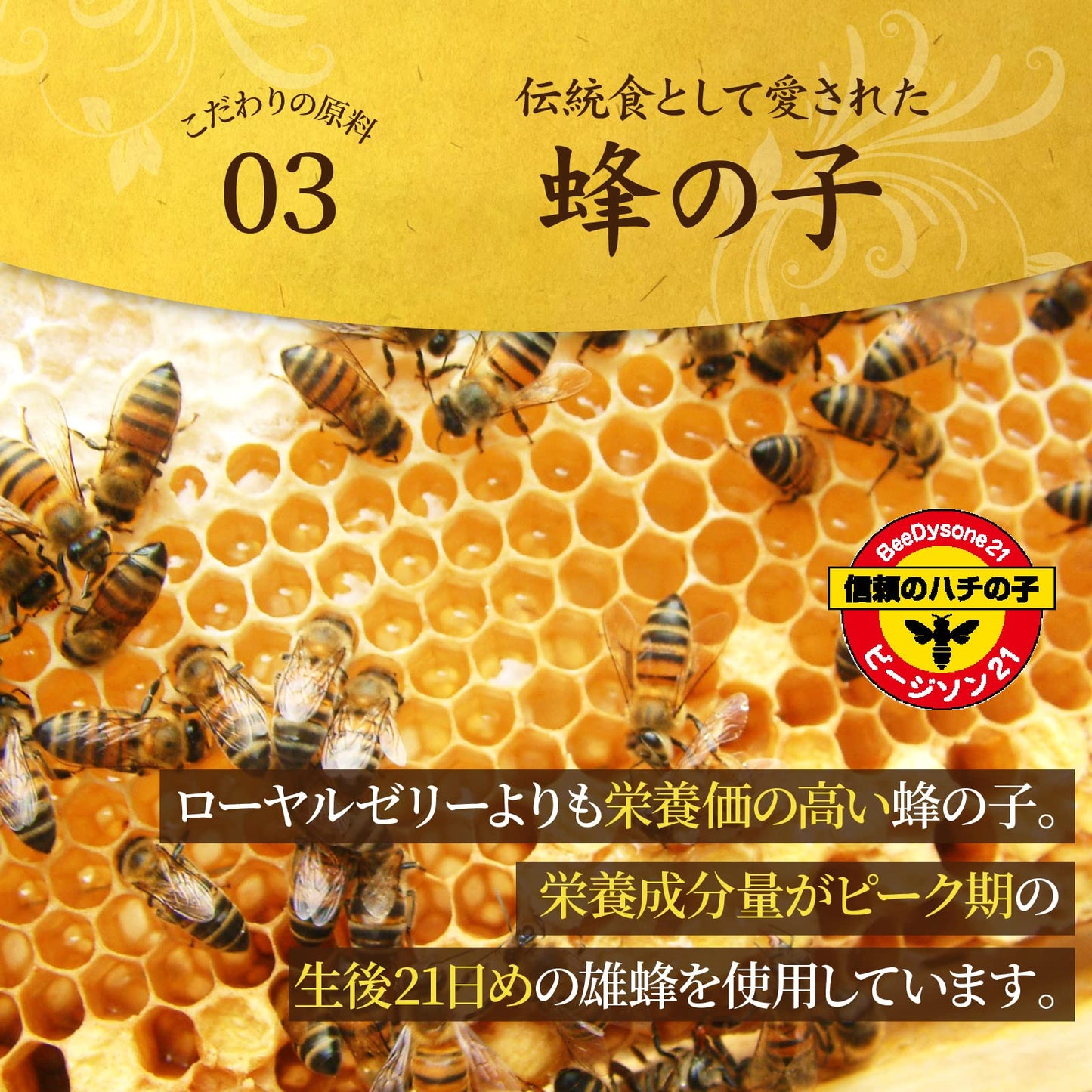 Satsuma Pharmacy Cordyceps + Bee Ko Health Supplement, Trial (30 Capsules / Ginseng), Health Maintenance, Nutritional Supplement, Supplement (Unique Formula Hybrid Health Supplement)