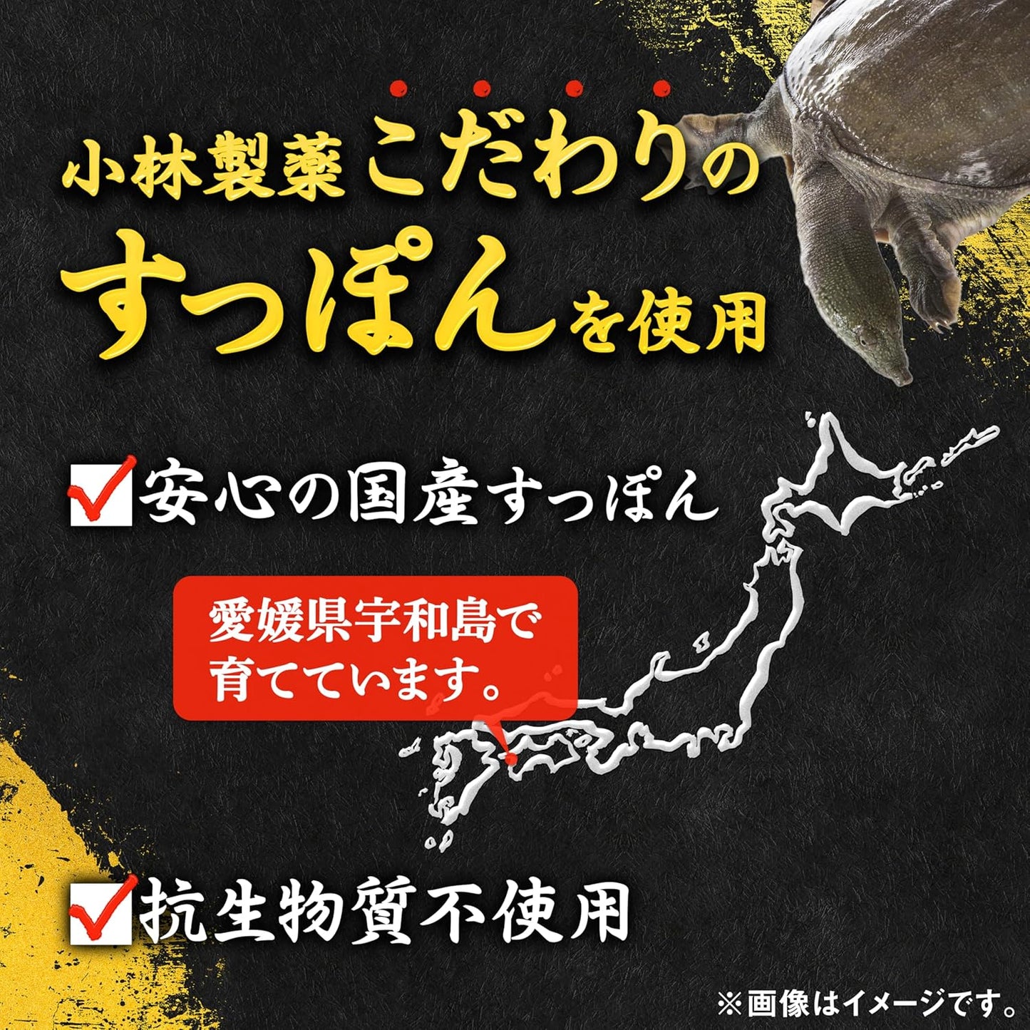 小林製薬の栄養補助食品 [ 公式 ] すっぽん 高麗人参 サプリ 【アミノ酸含有! 国産 スッポン 使用】生姜サプリ 朝鮮人参 サプリメント [ 栄養補助食品 / 60粒 / 約30日分 ]