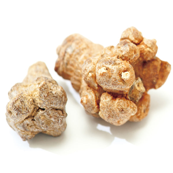 Organic 7-year-old Red Ginseng from Nihondo