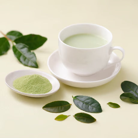 緑茶ラテ&ほうじ茶ラテ