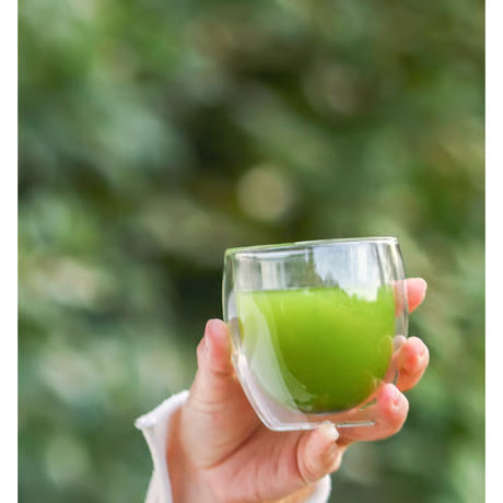 おまもり大和茶 30包入(緑茶粉末スティック）